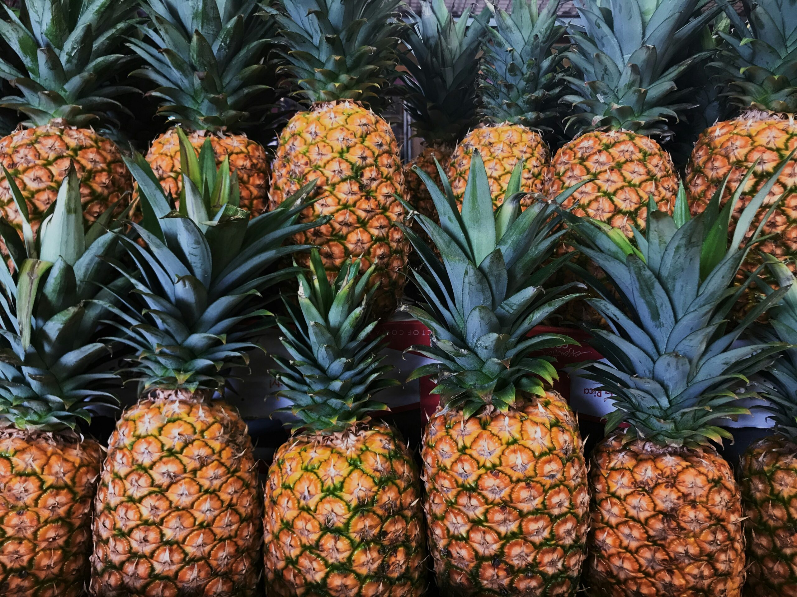 Group of neatly stacked pineapples