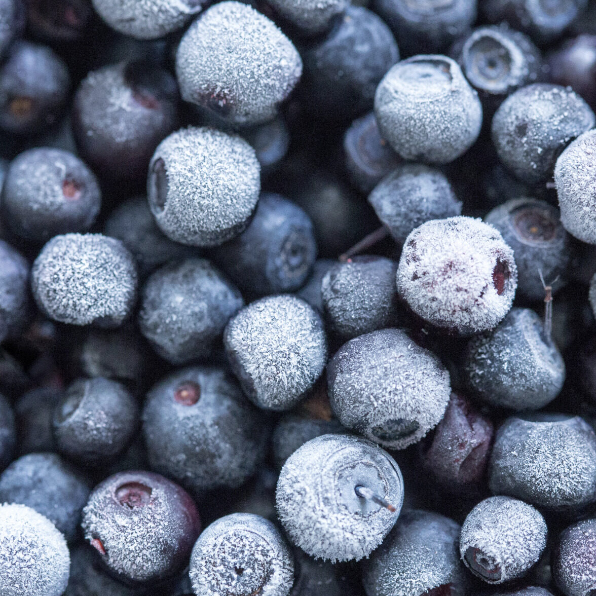 Frozen Fruit Products – Our Offering – Frozen Brands Close-up image of frozen blueberries.